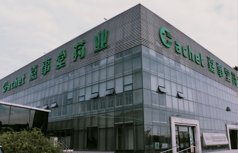 6t�������